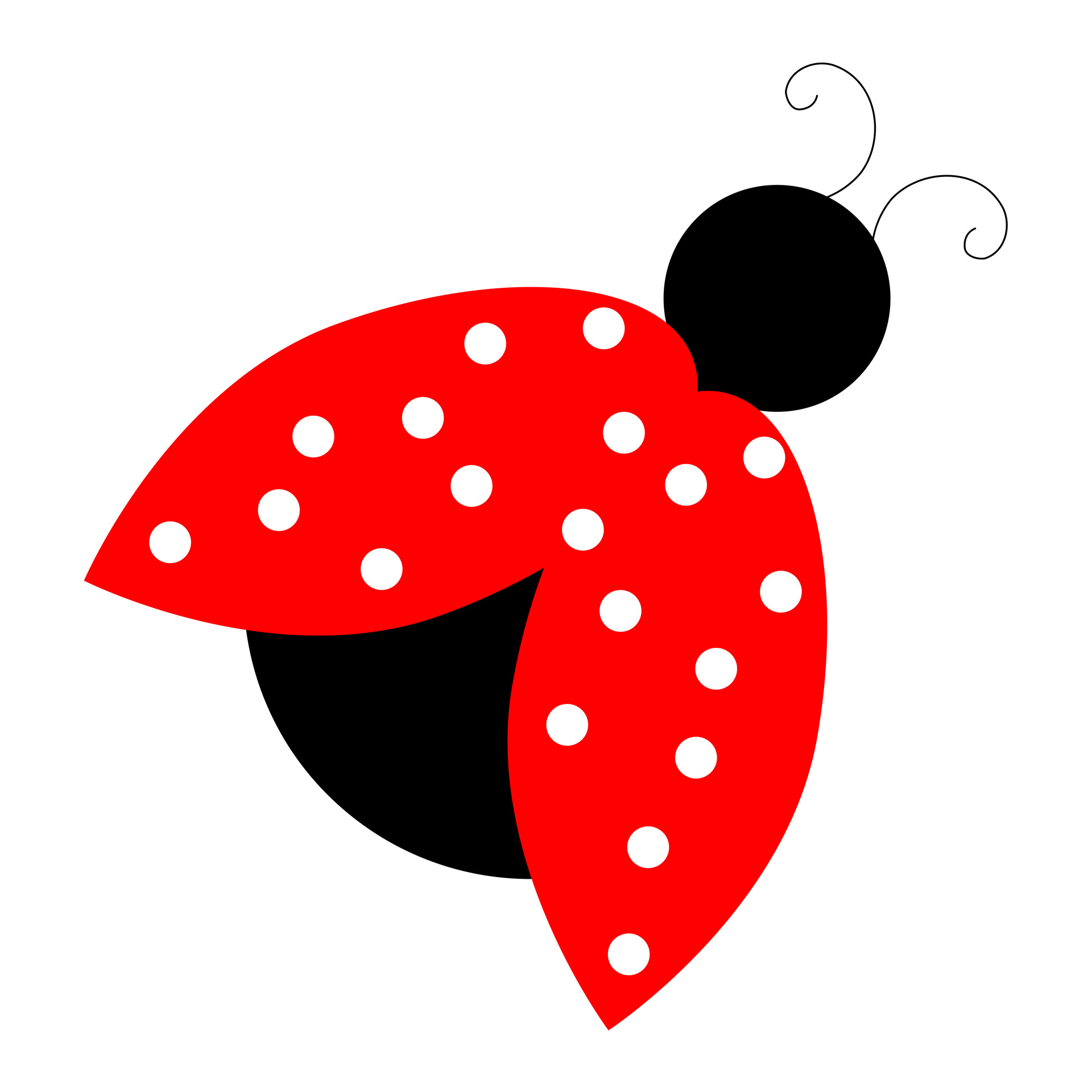 red ladybug clipart photo domain pictures #32081