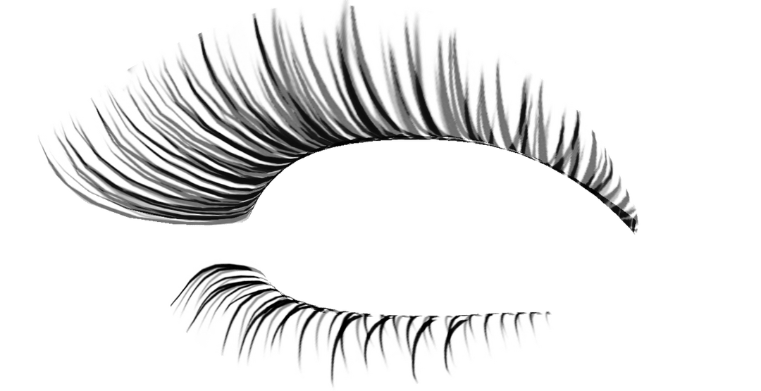 eyelashes clipart natural eyelashes natural transparent #26371