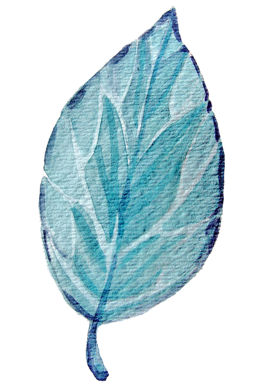 blue leaf cut out transparent photo #9881