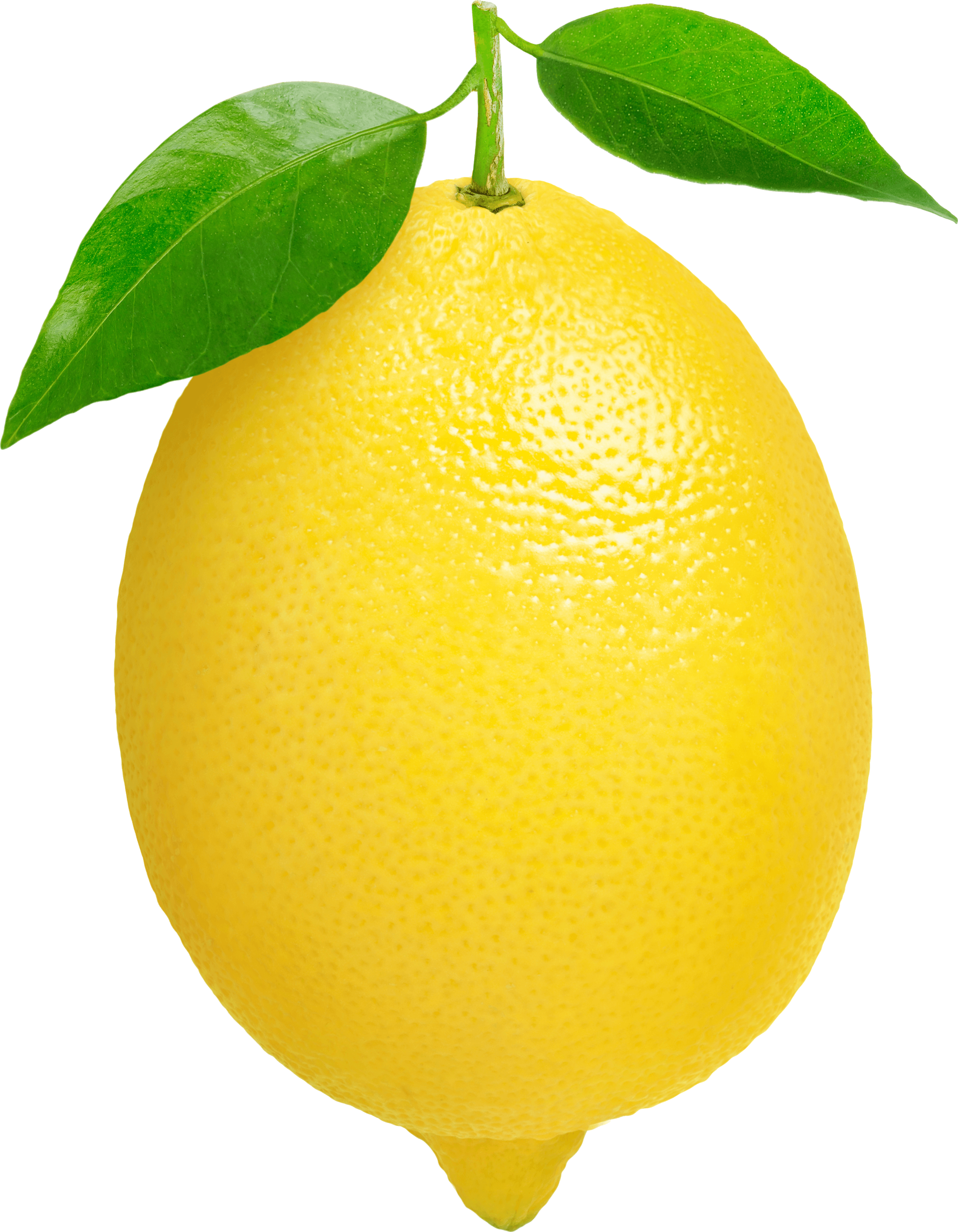 download lemon png image #13286