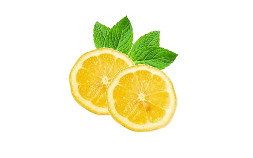 illustration lemons mint lemon citrus #13403