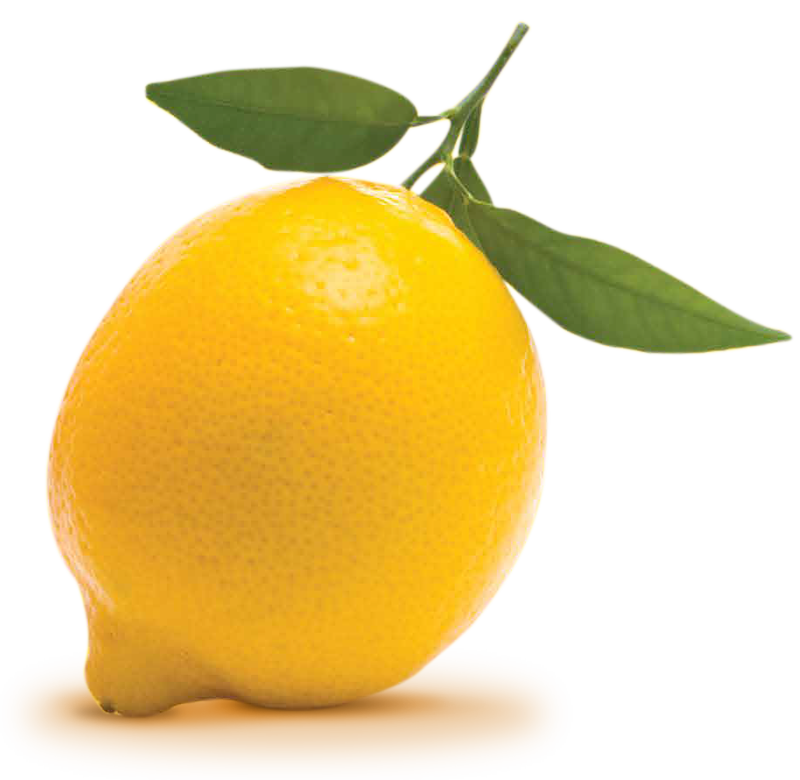 lemon #13297