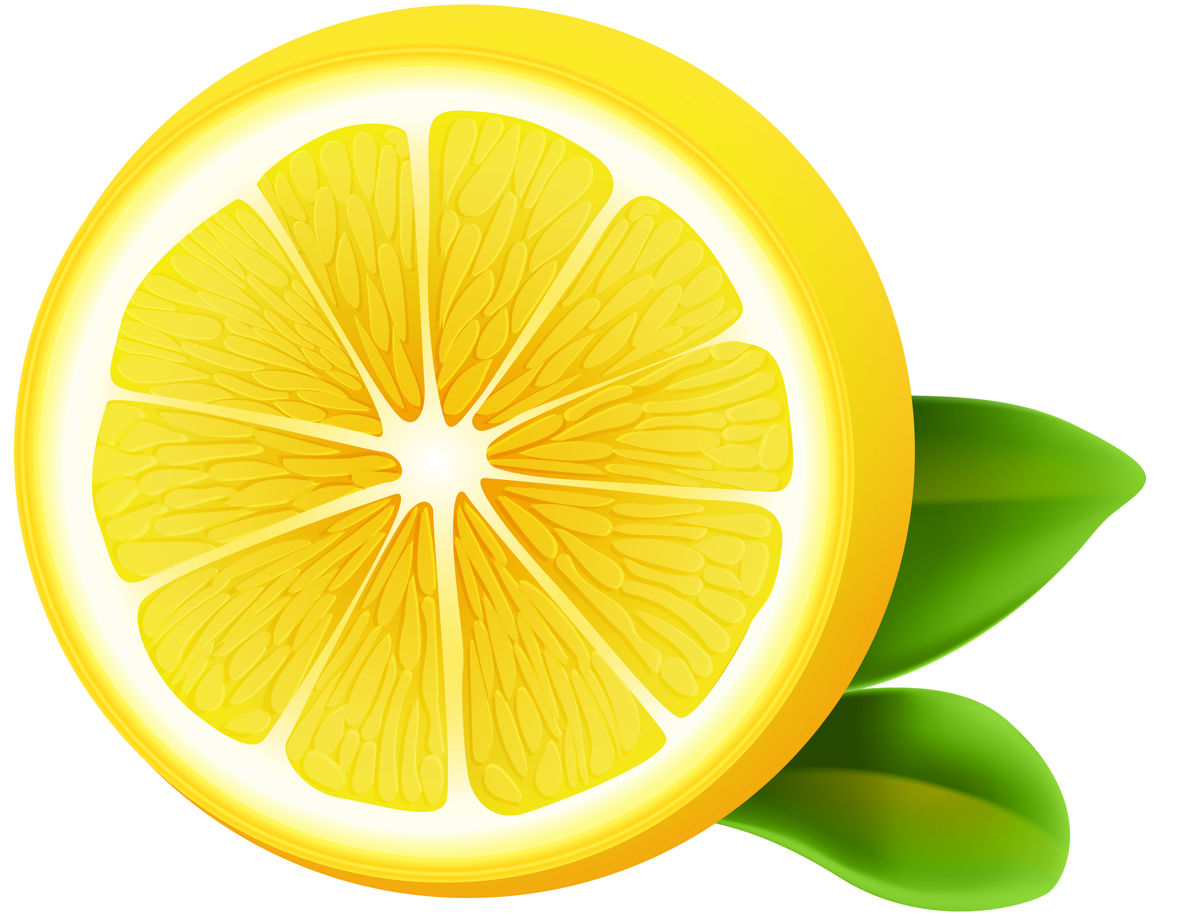 lemon clipart transparent pencil and color lemon #13367