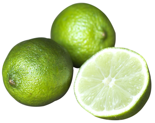 citrus lime fruit png image pngpix #29476