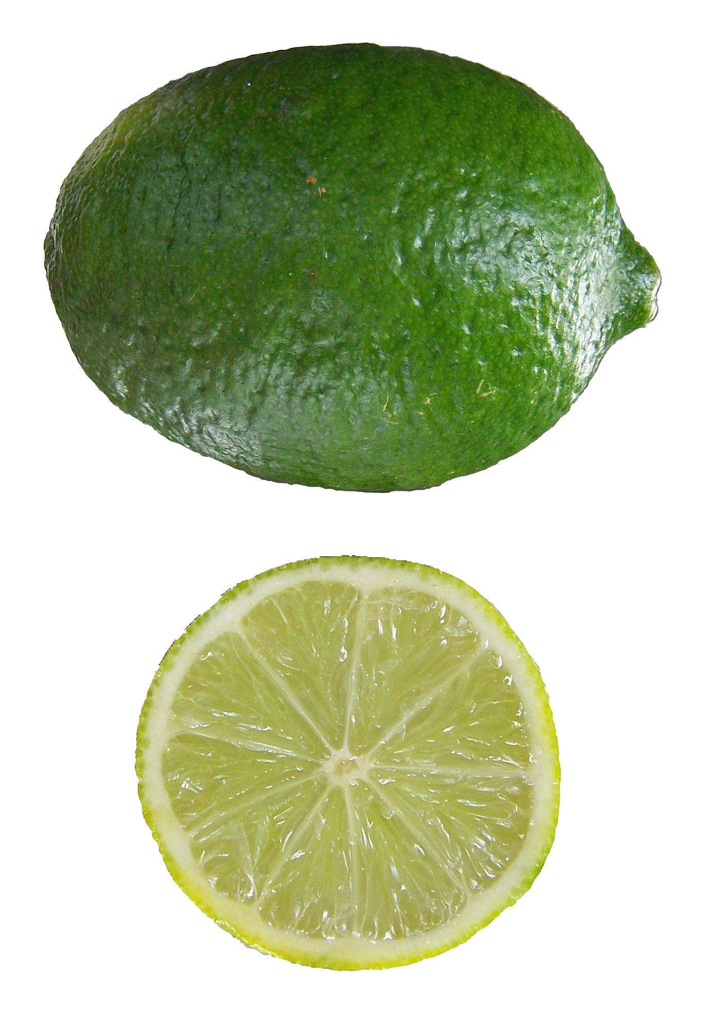 file citrus aurantifolia mexican lime wikimedia commons #29485