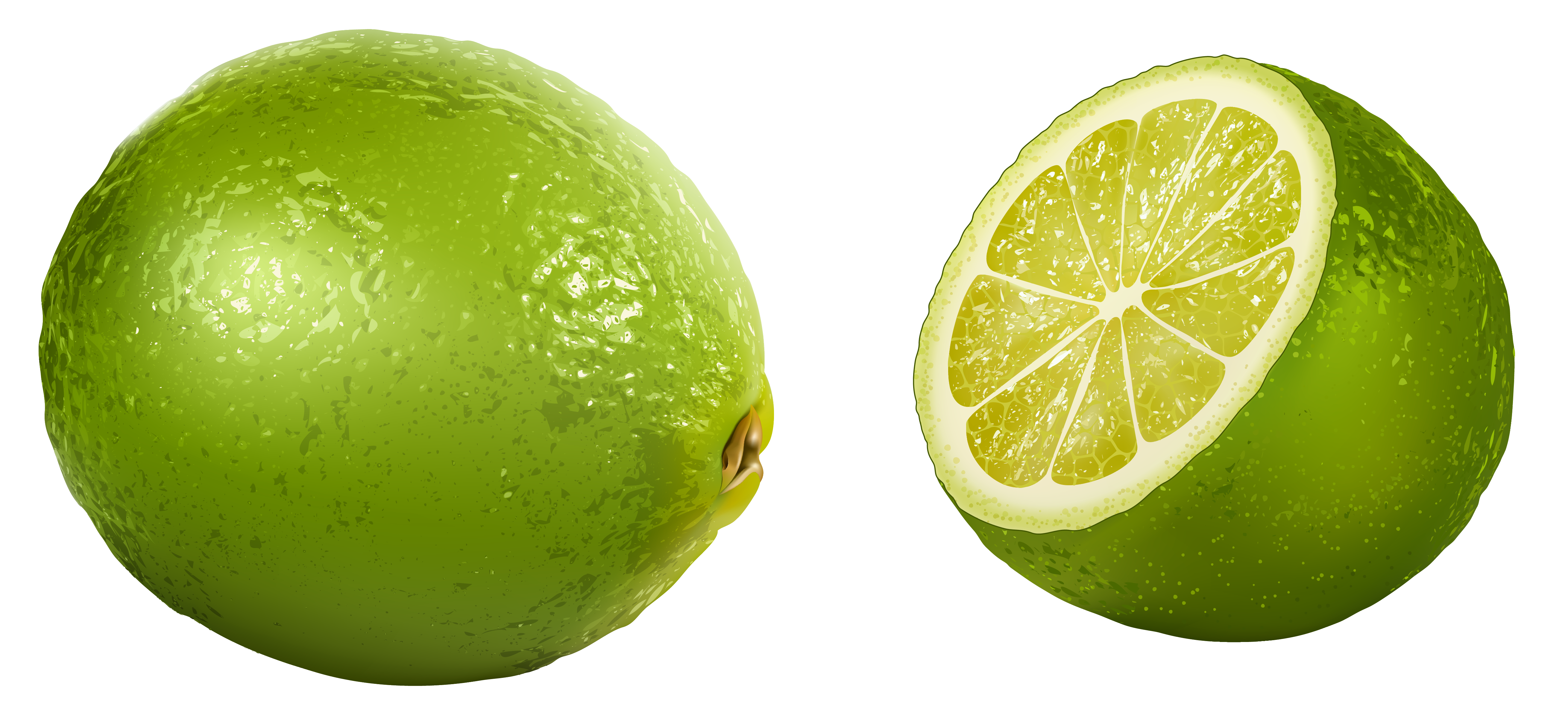 lime cliparts download clip art clip art clipart library #29470