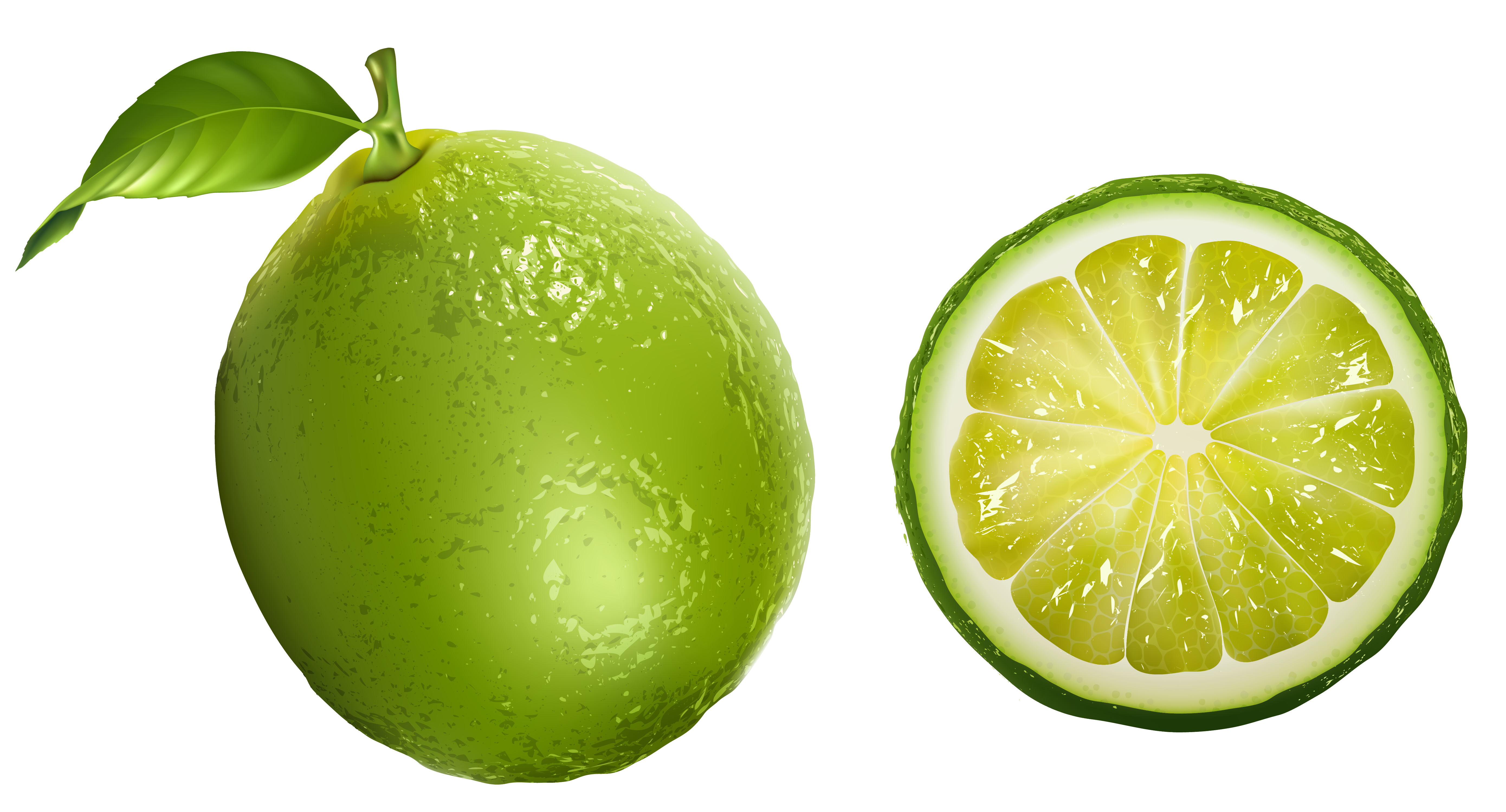 lime png clipart picture gallery yopriceville high quality images and transparent png #29509