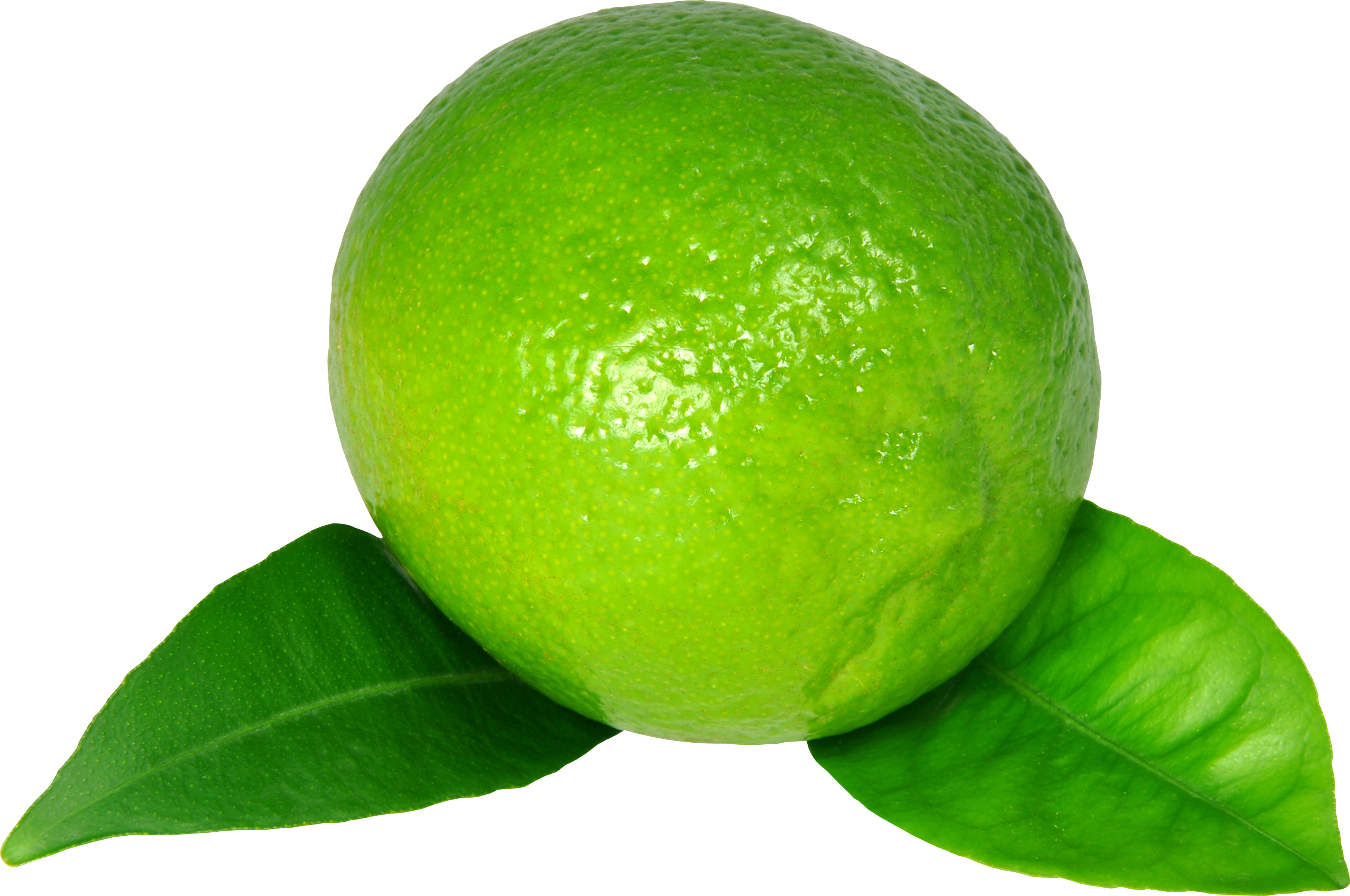 lime png images are download crazypngm crazy png images download #29491