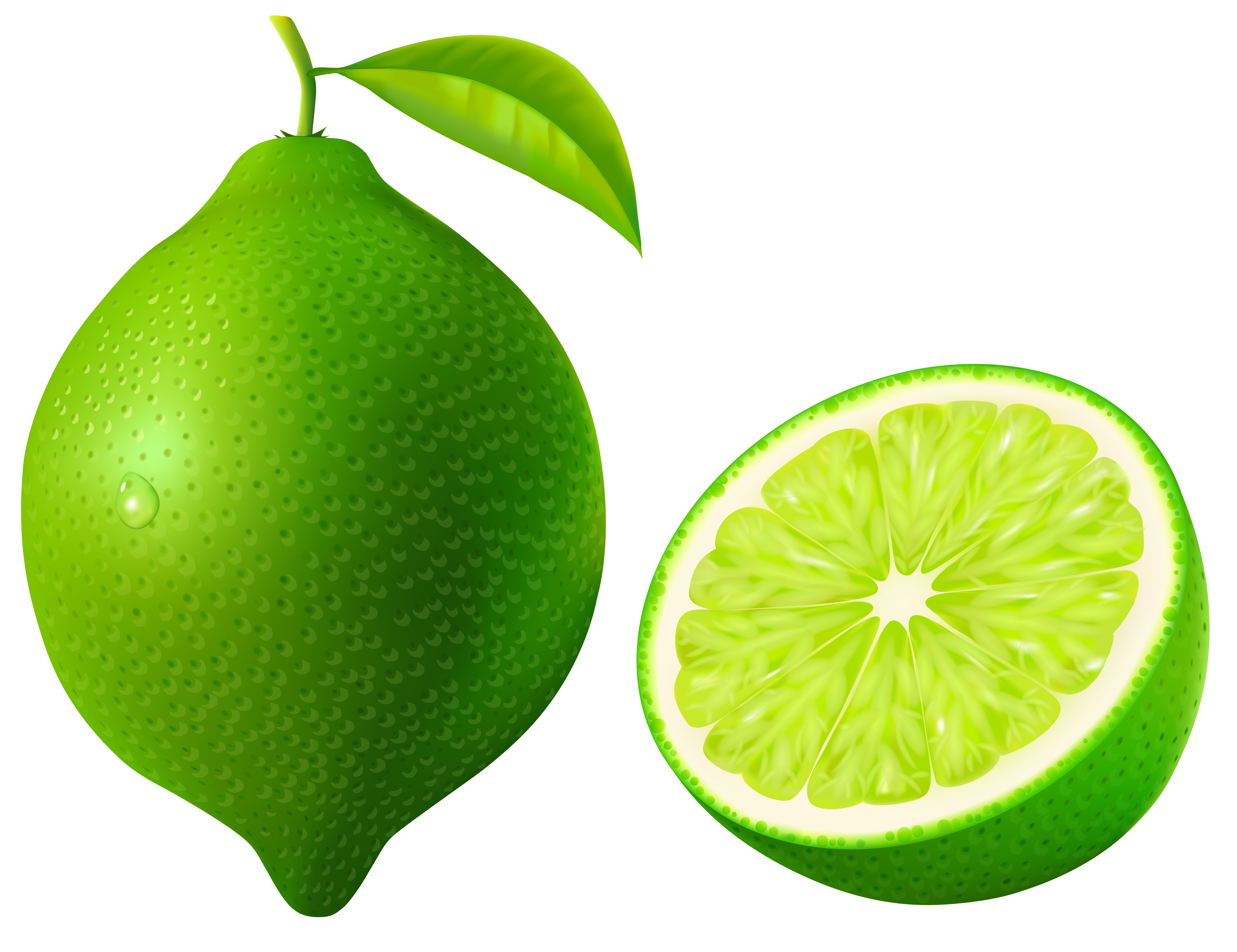 view lime clipart clipground #29481
