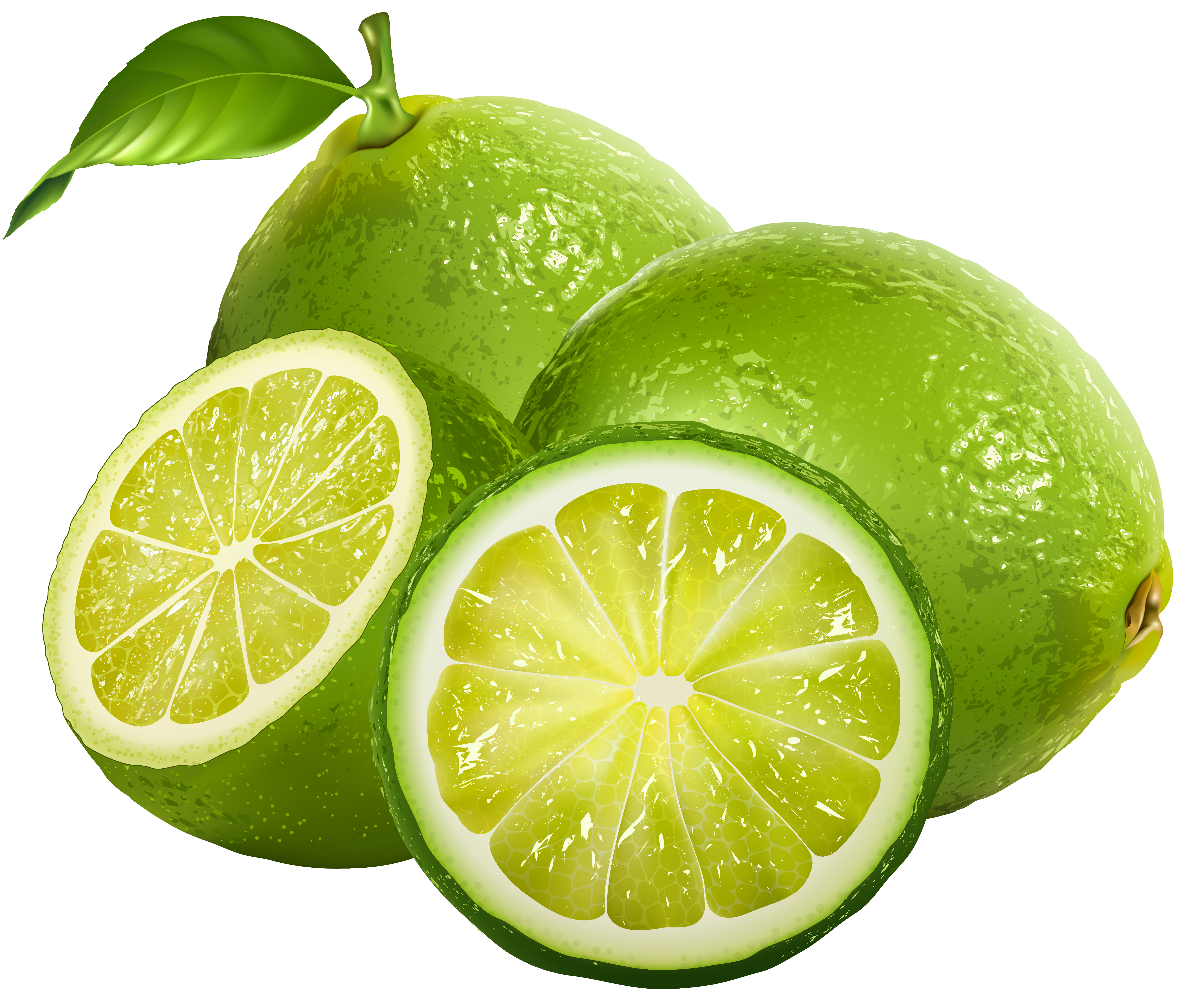 view lime clipart clipground #29482