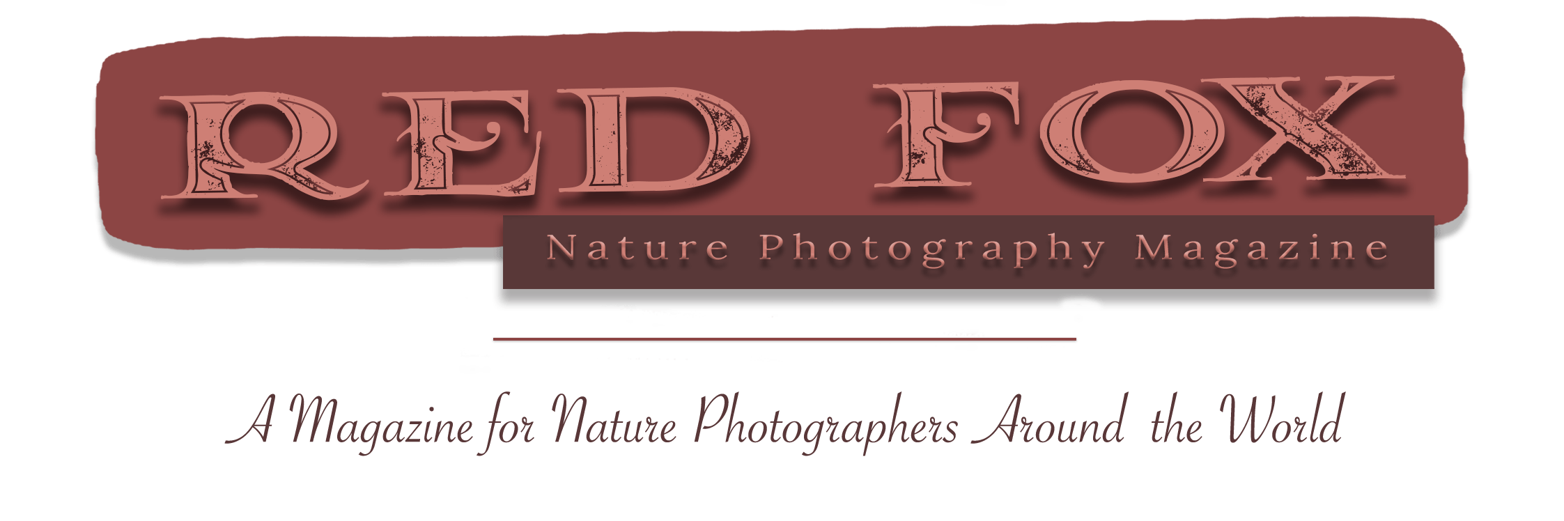 cropped logo website red fox nature photography #31320