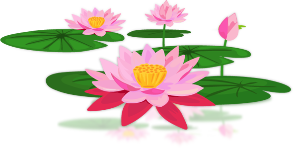 download lotus png pic transparent png images #26586