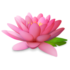 Lotus PNG Images, Lotus Flower Images, Lotus Flower Outline Clipart