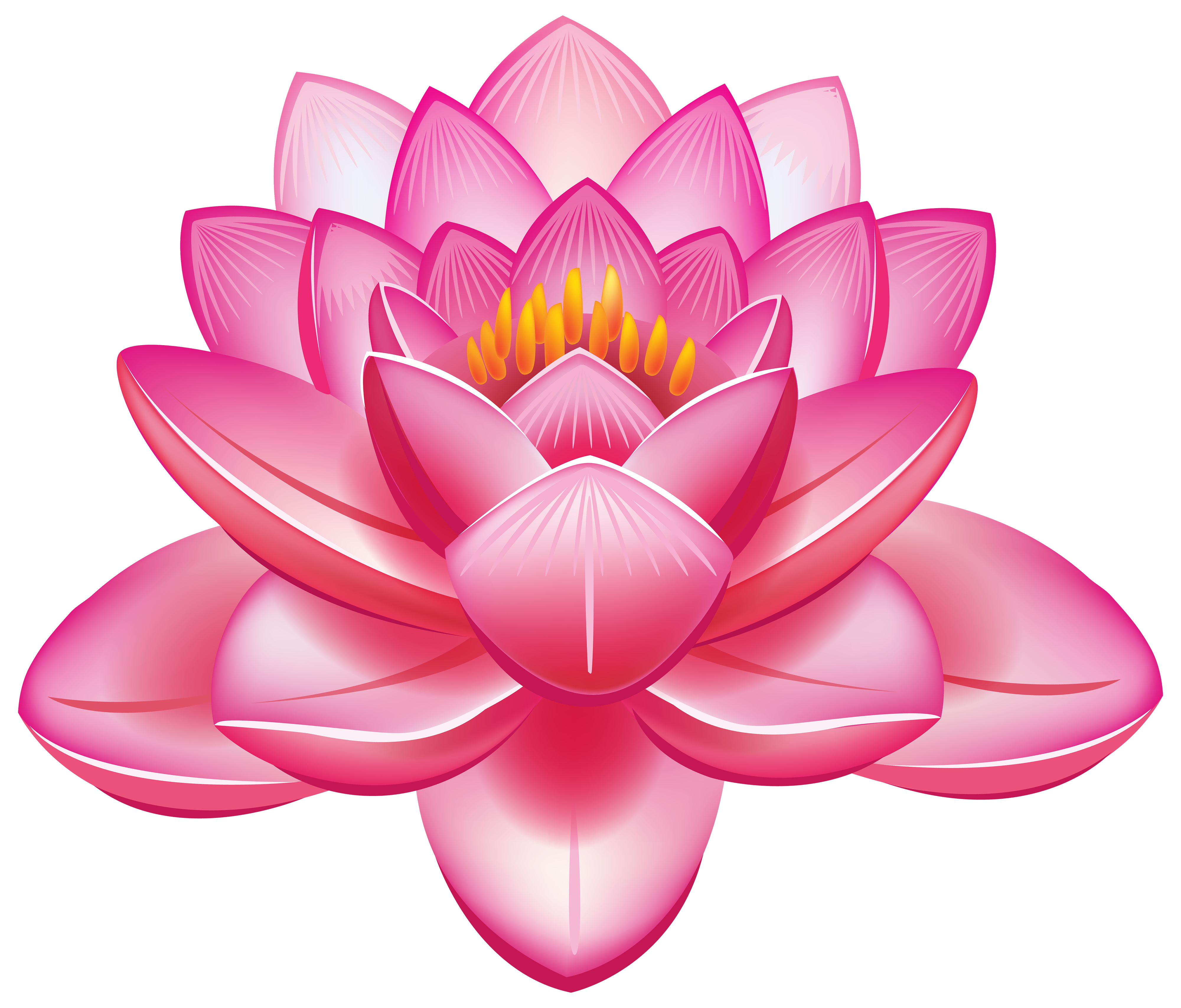 lotus flower png clipart best web clipart #26619