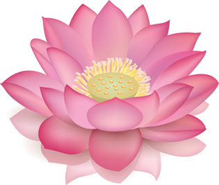 pink lotus vector free png #26622