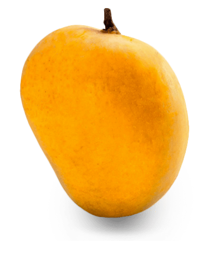 mango, emangoz yummy for tummy #14797
