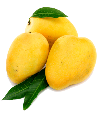 mango fresh produce shoppe buy fruits gurgaon #14782