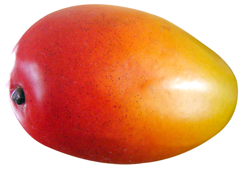 mango fruit png image pngpix #14764
