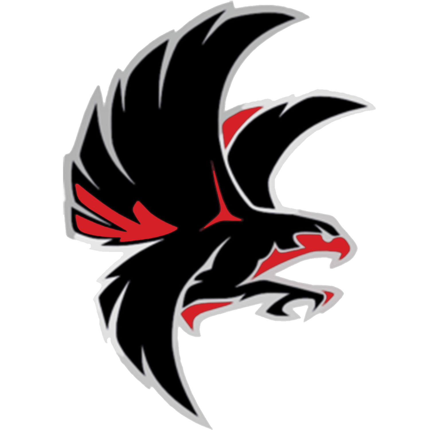 PNG Football Helmet Logo Mascot, Eagle Mascot #40020