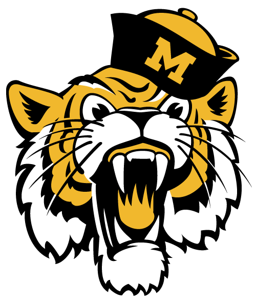 Tiger Mascot Head Logo #40021