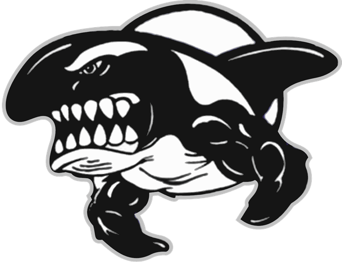 Turtle, Orcas Summer Swim Club Mascot Branding #40024