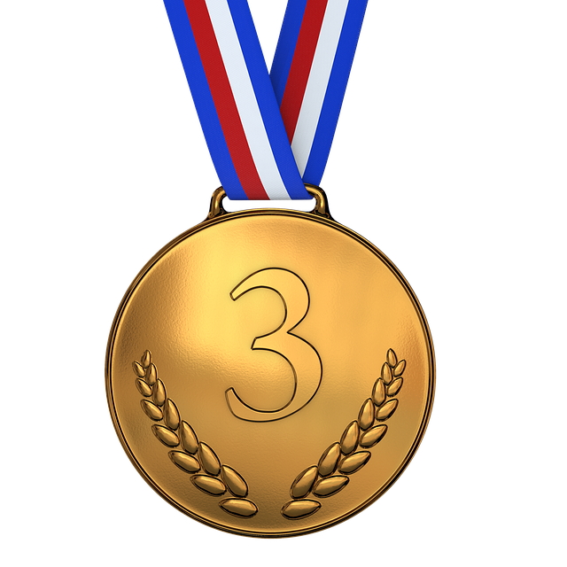 illustration medal bronze award championship #23697