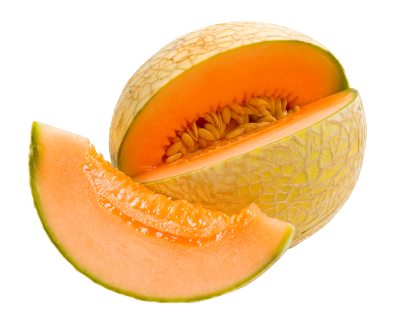 cantaloupe melon levarht #26523