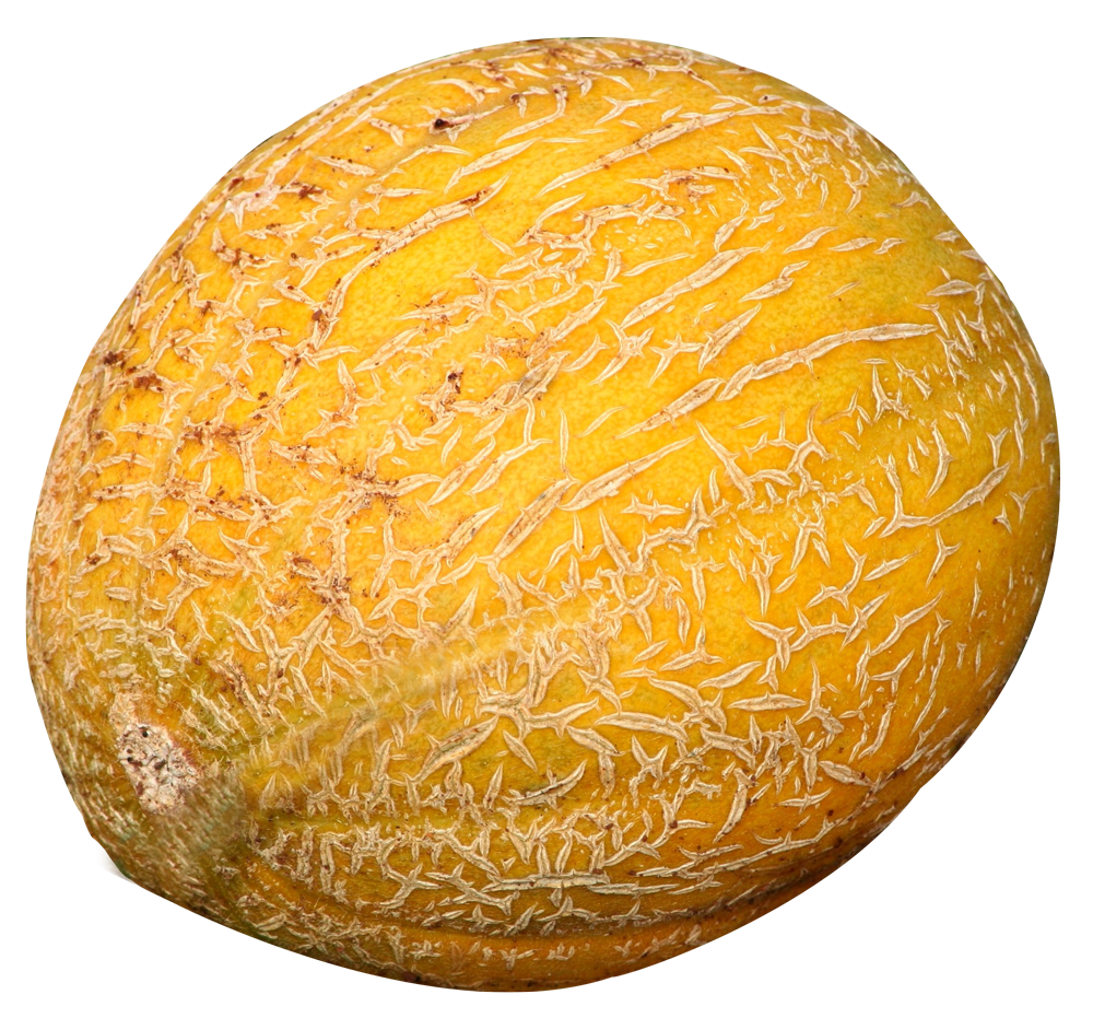 cantaloupe melon png image pngpix #26480