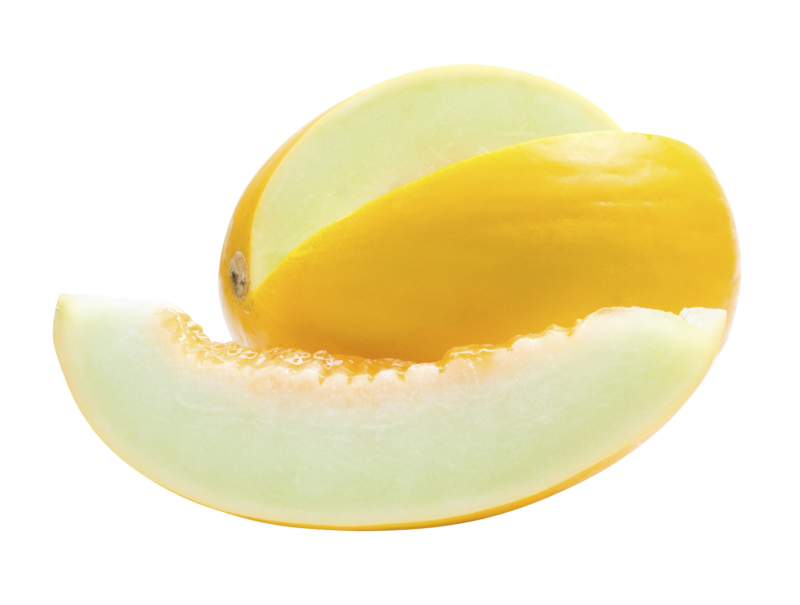 honeydew melon levarht #26500