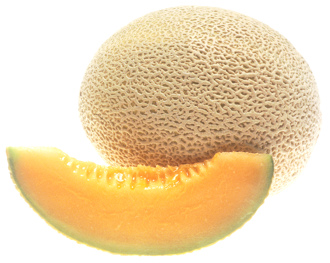 melon, cantaloupe png image pngpix #26489