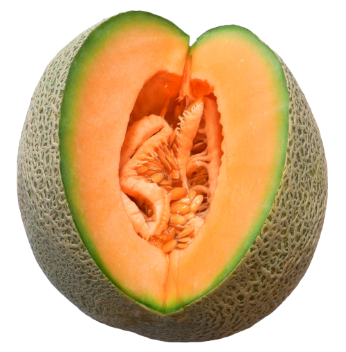 melon cut png image pngpix #26485