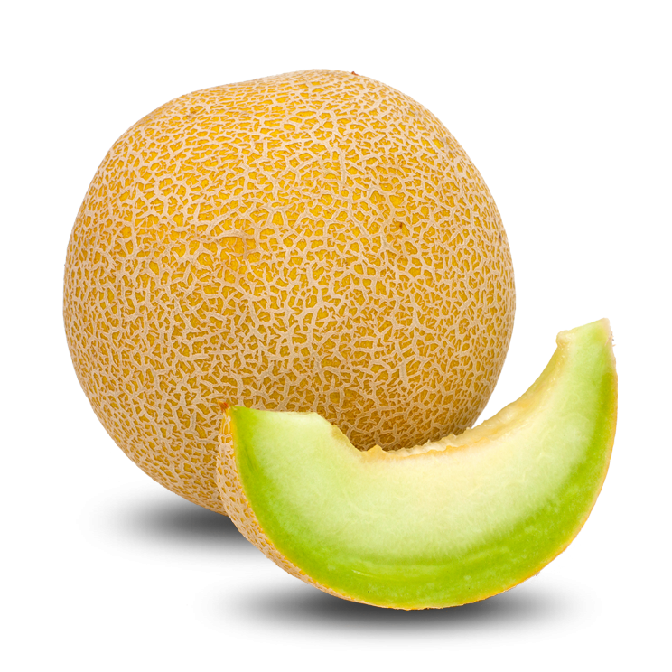 melon, mellons protofanousis #26484