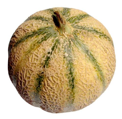 Melon PNG Images, Gambar Melon, Gambar Buah Melon Clipart Images