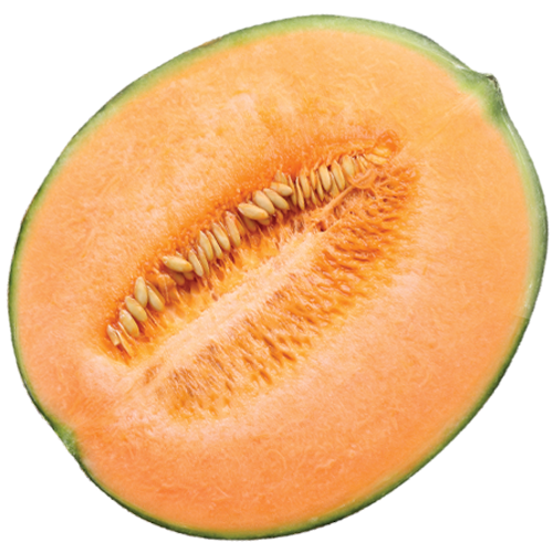 melon, sol melons #26492