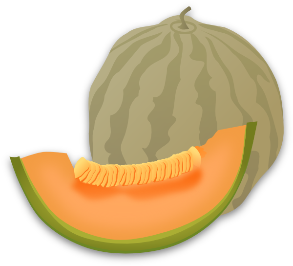 musk melon clip art clkerm vector clip art online #26527