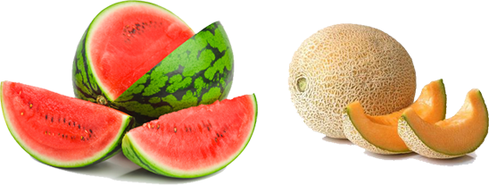 Melon