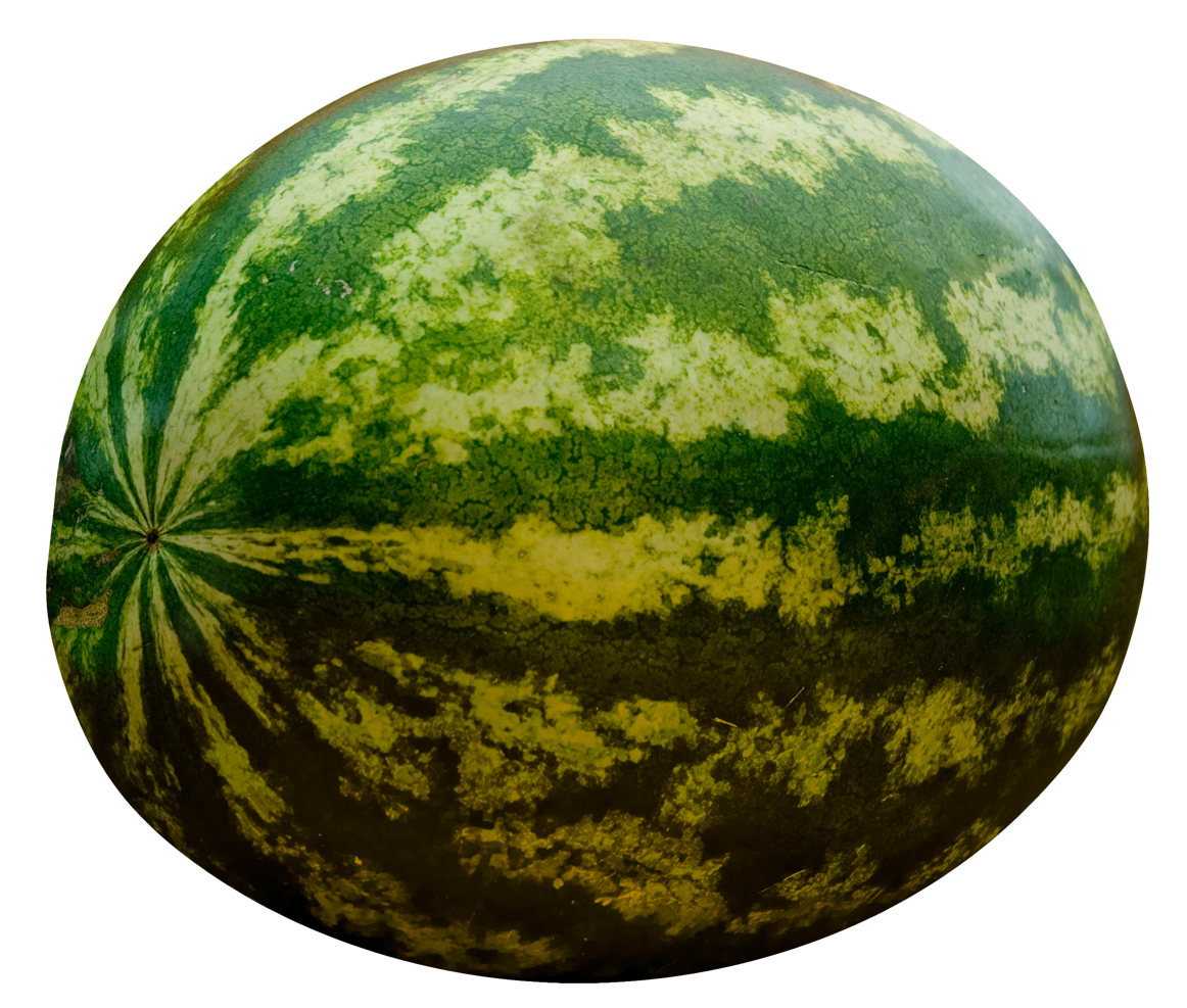 watermelon png image pngpix #26525