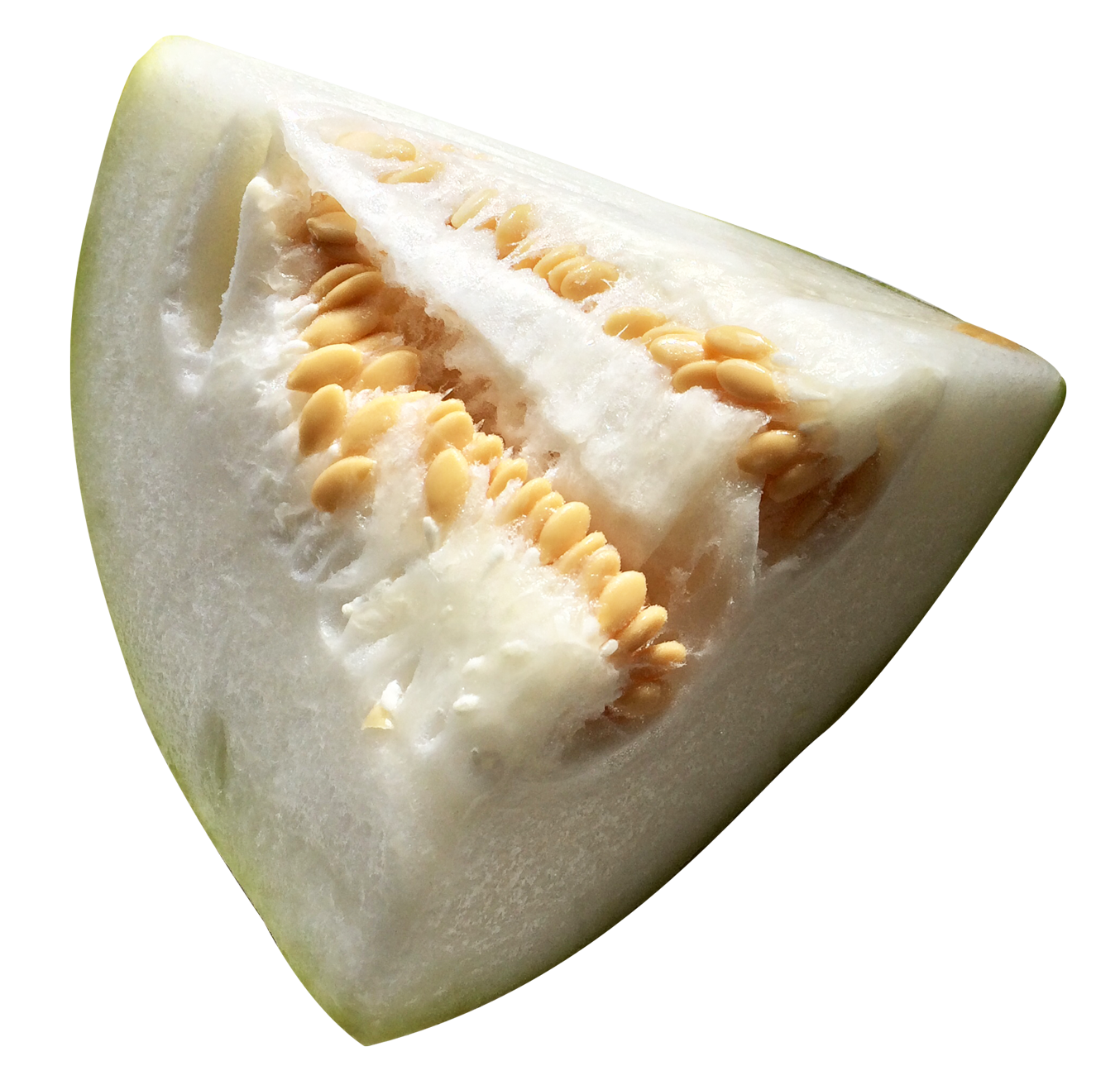 winter melon png image pngpix #26502