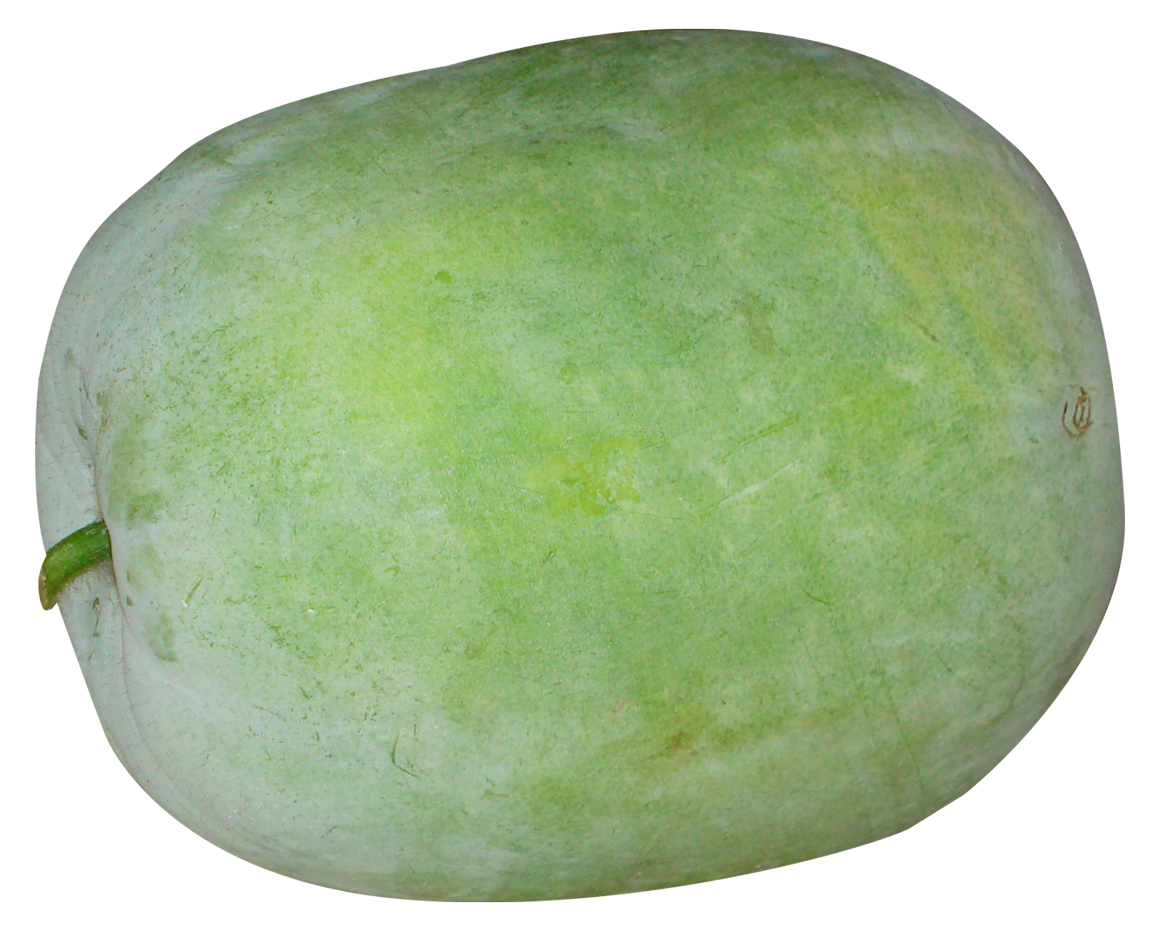 winter melon png image pngpix #26508