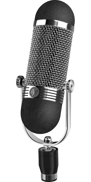 microphone audio music vector graphic pixabay #13885