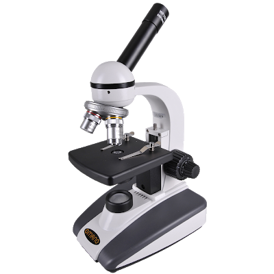 anatomy and physiology coursework microscope #23356