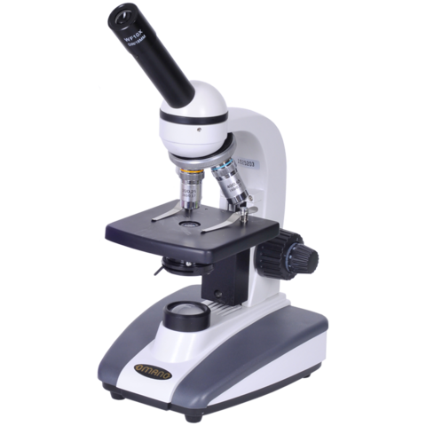 evolution the microscope timeline timetoast timelines #23361