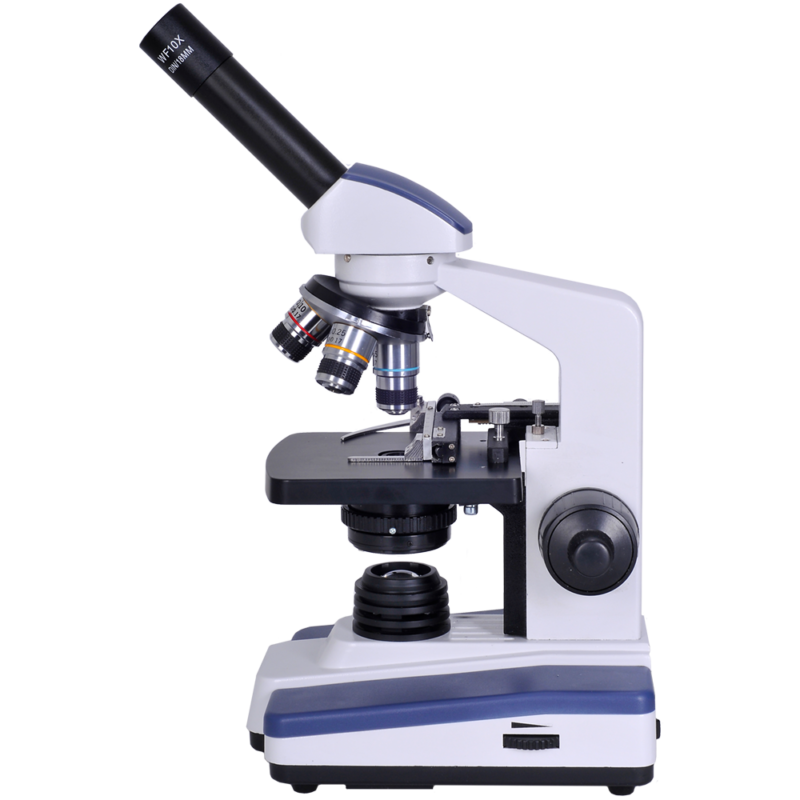 microscope clipart black and white images #23363