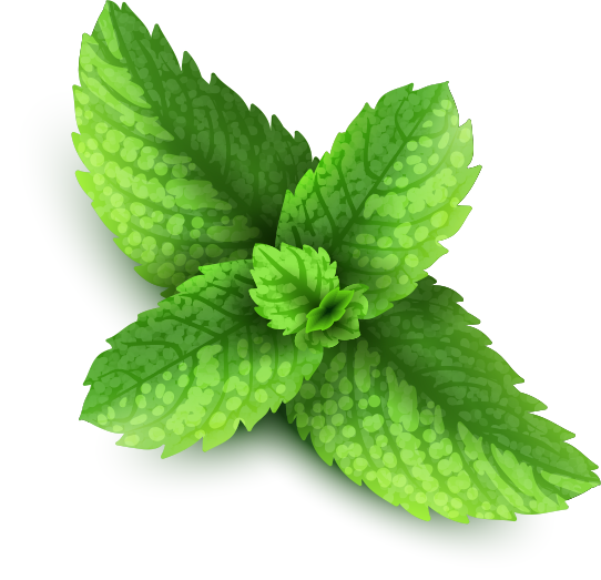 mint png images are download #21826