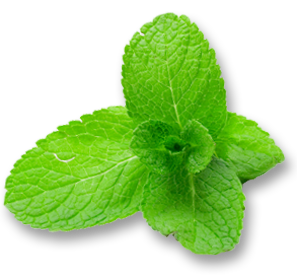 mint png images are download crazypngm #21837