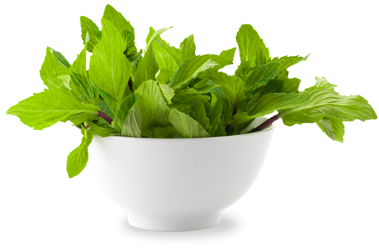 mint, scent geranium natural freshness #21847