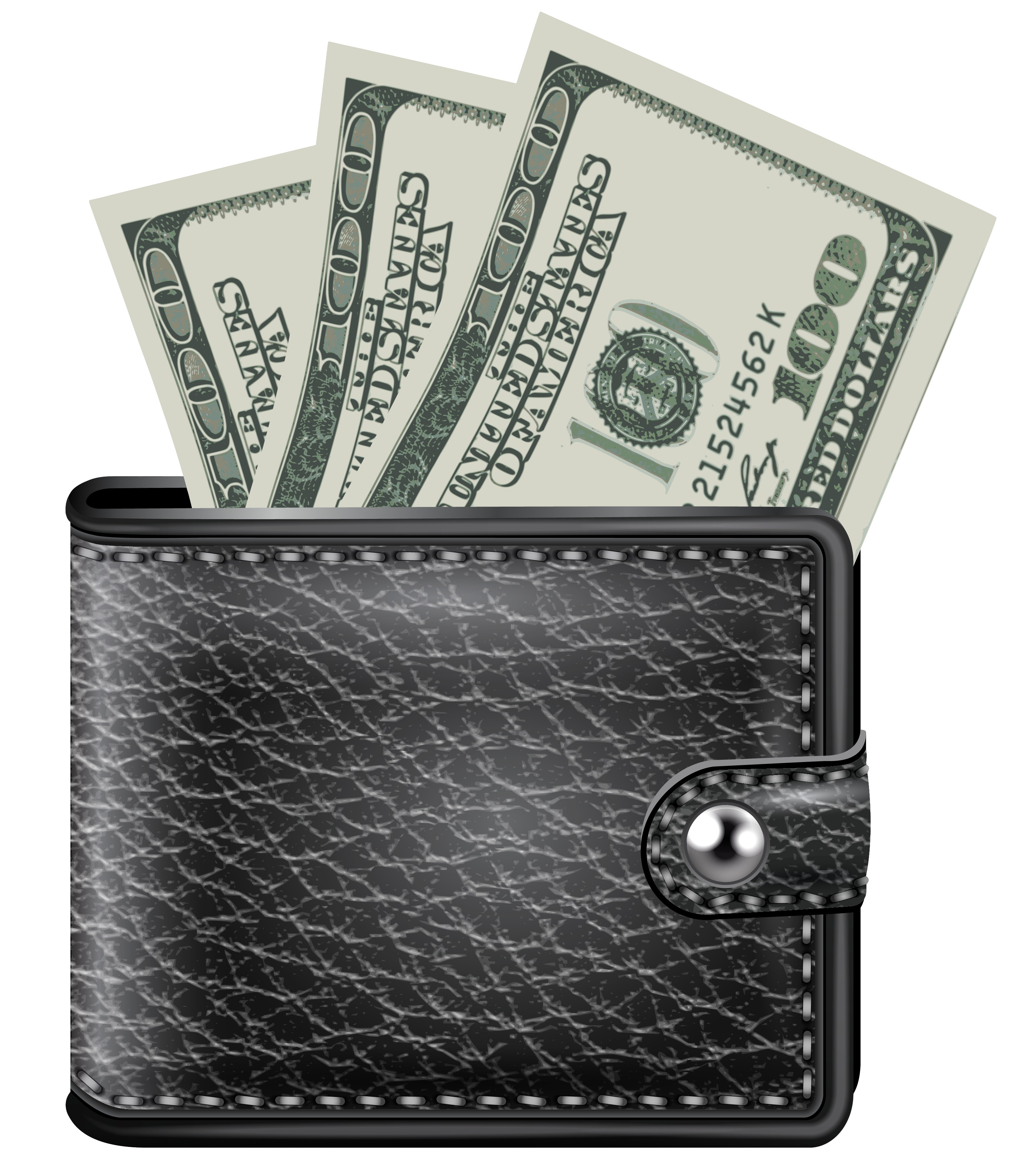 money wallet dollar image money pictures download #8333