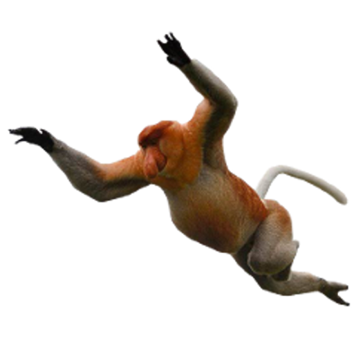 download monkey animal flying png transparent #19172