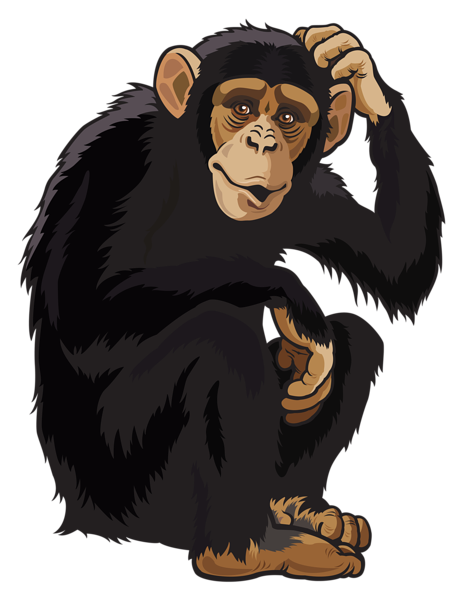 Monkey Cartoon png download - 999*999 - Free Transparent Monkey