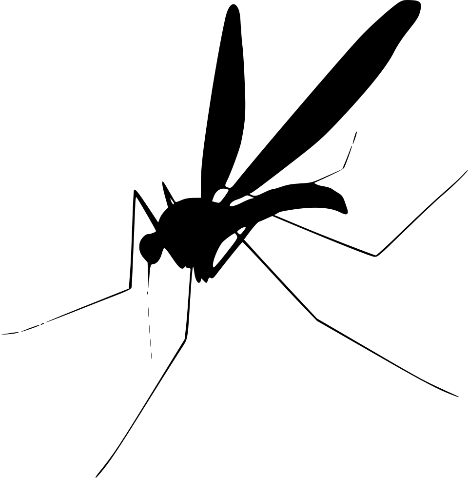 black mosquito silhouette #8901